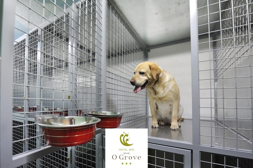 spa-norat-o-grove 303